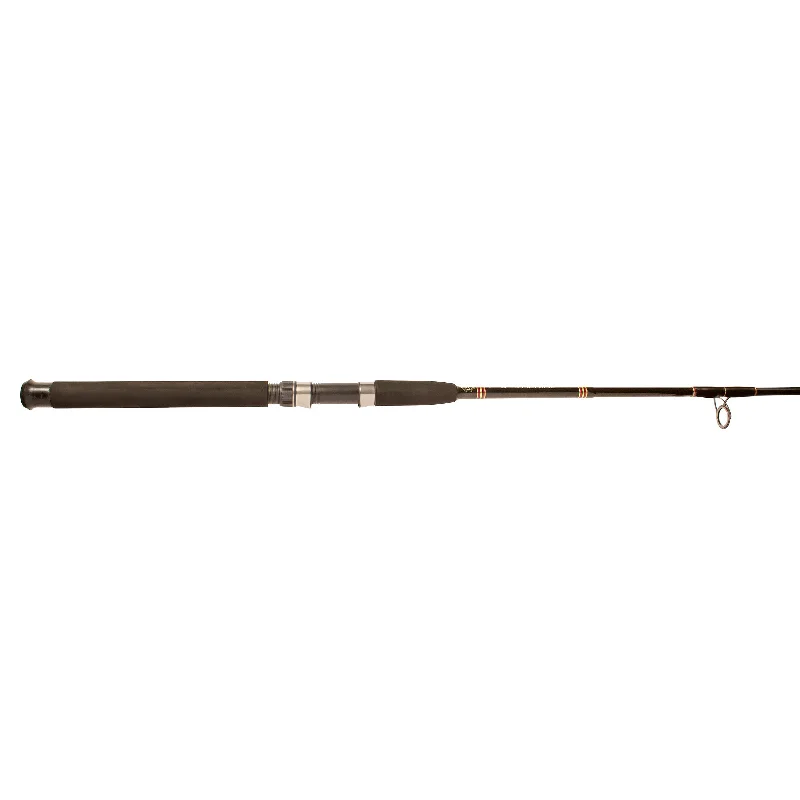 Aerial® Boat Spinning Rods - E-Glass