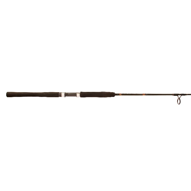 Aerial® Jetty & Surf Spinning Rod