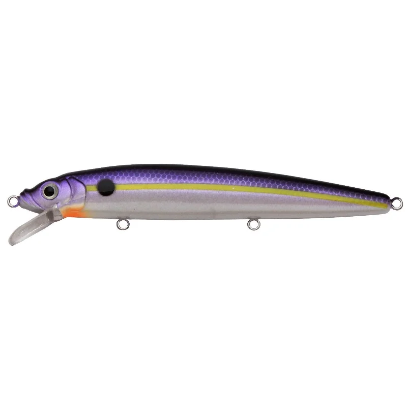 Purple Chartreuse Stripe White Belly